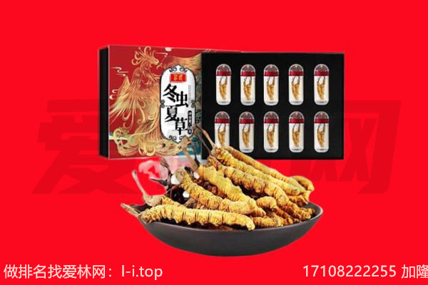 正定县回收虫草.jpg